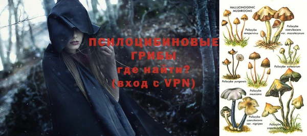 прущая мука Сосновоборск