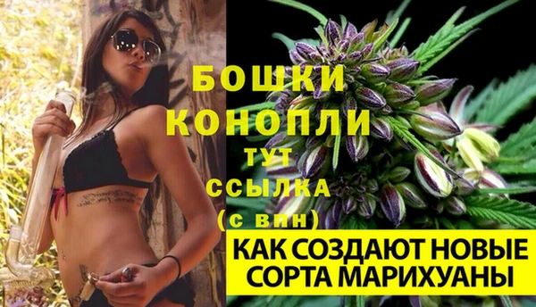 2c-b Белоозёрский
