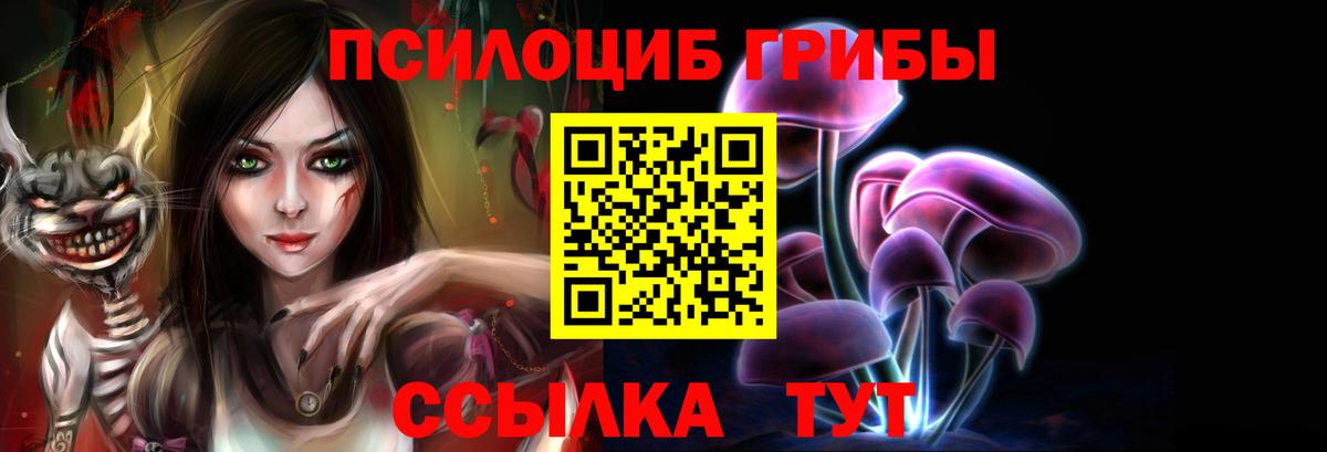 Галлюциногенные грибы MAGIC MUSHROOMS  Вход с VPN  Верхняя Пышма  Псилоцибиновые грибы прущие грибы 